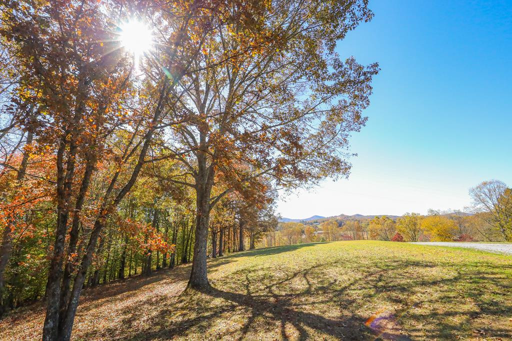 Lot 9 Hinton Property Photo 2