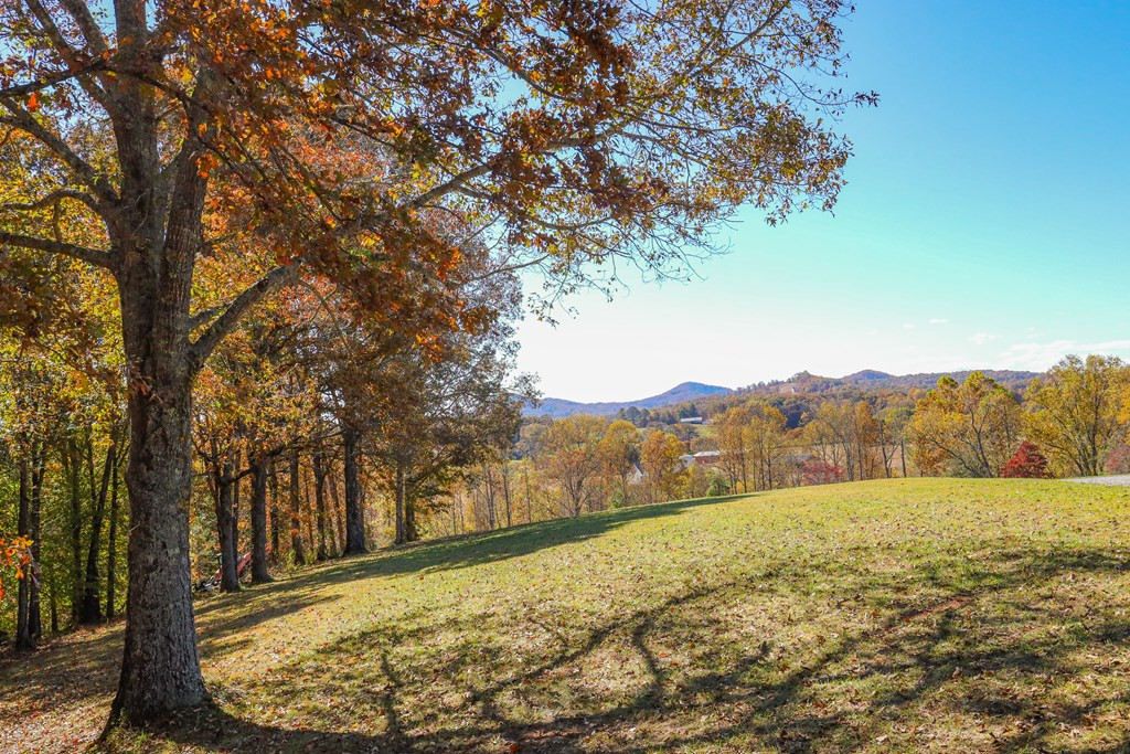 Lot 9 Hinton Property Photo 3