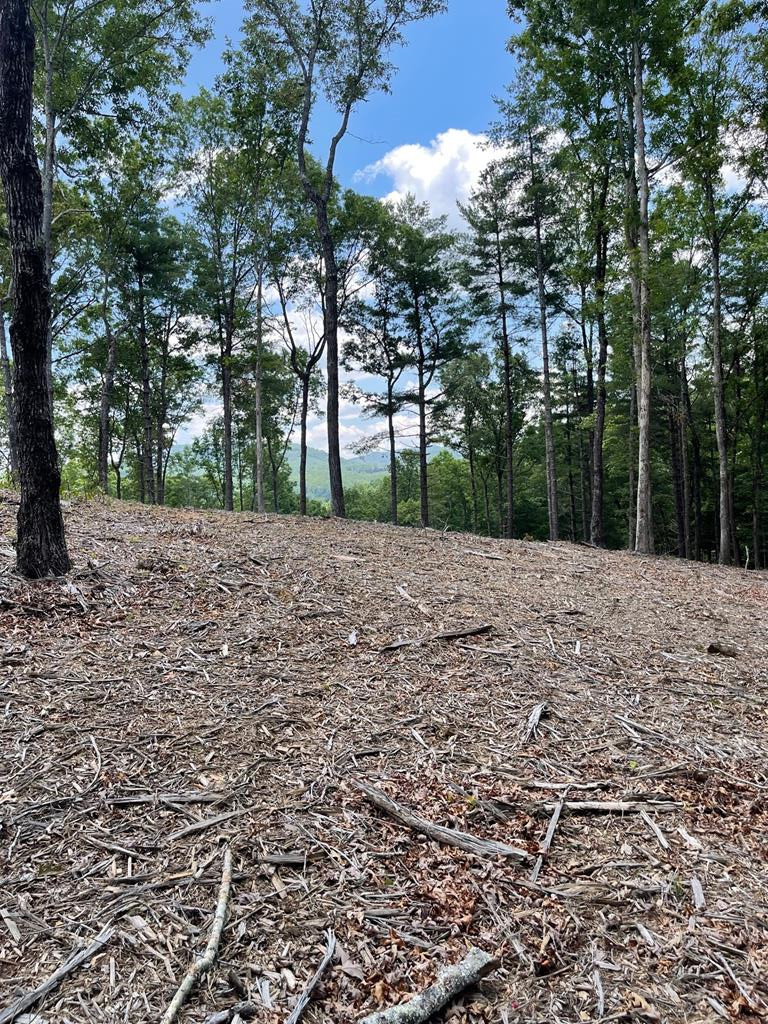 Lot 95 95 The Property Photo 1