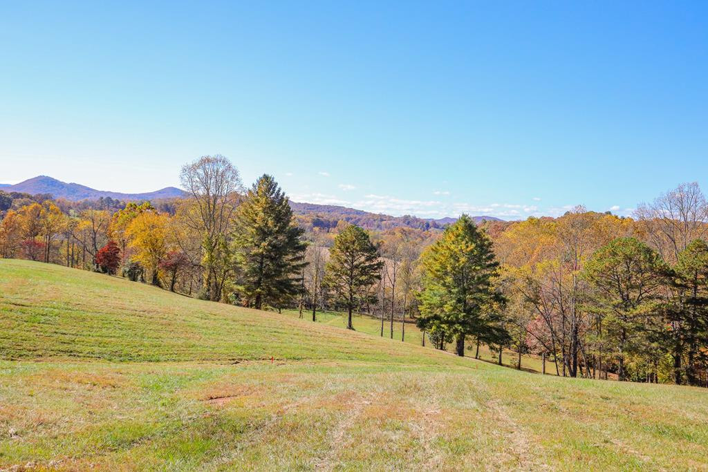 Lot 8 Hinton Property Photo 1
