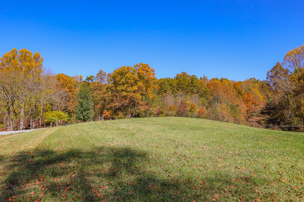 Lot 8 Hinton Property Photo 19