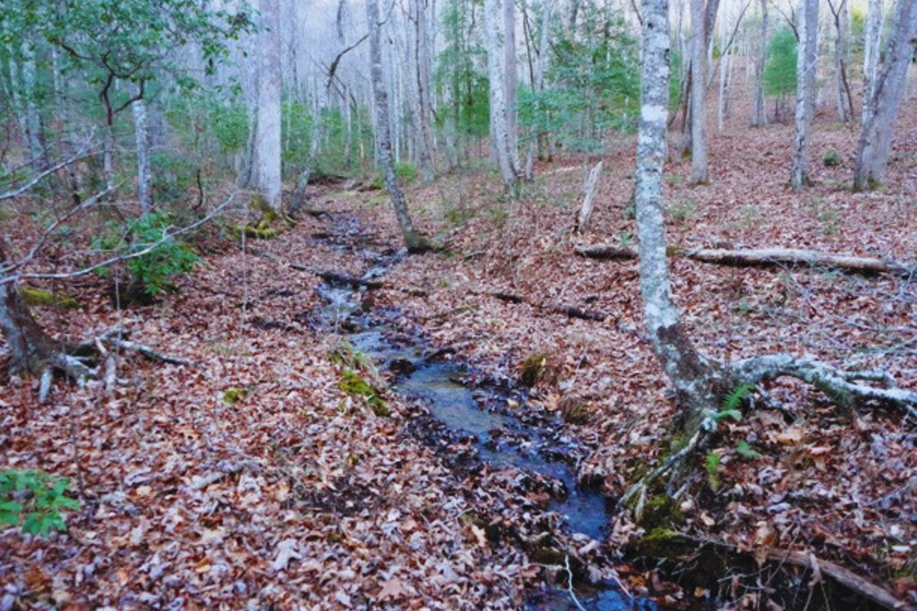Lt 23 23 Shelton Springs S / D Property Photo 3