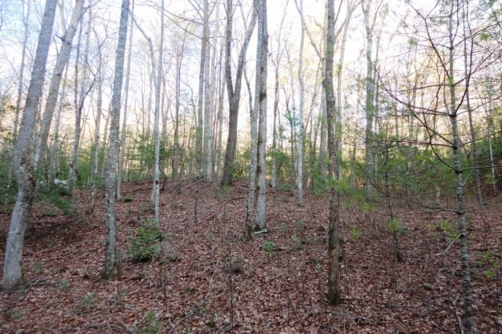 Lt 23 23 Shelton Springs S / D Property Photo 4