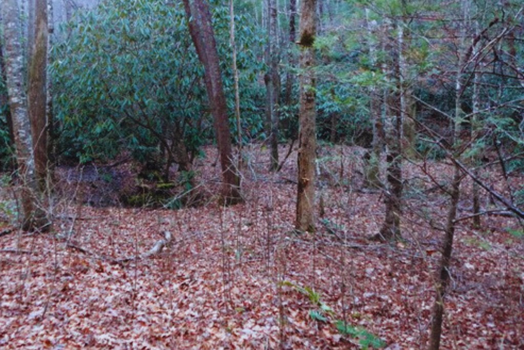 Lt 23 23 Shelton Springs S / D Property Photo 5
