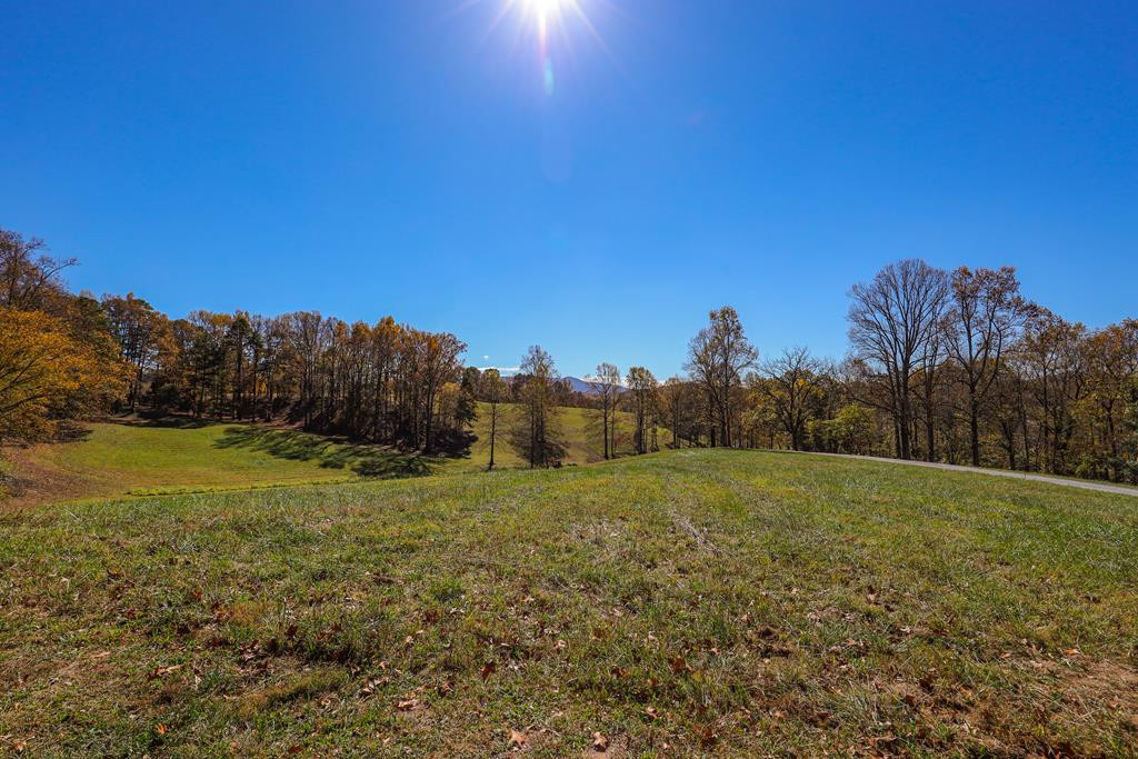 Lot 5 Hinton Property Photo 1