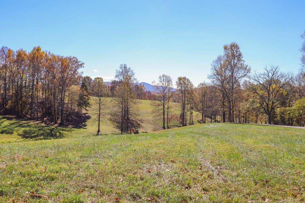 Lot 11 Hinton Property Photo 19