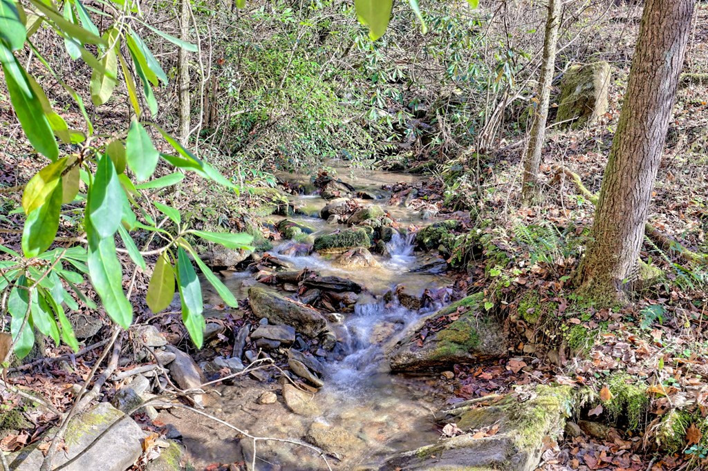 1307 Clear Creek Road Property Photo 2