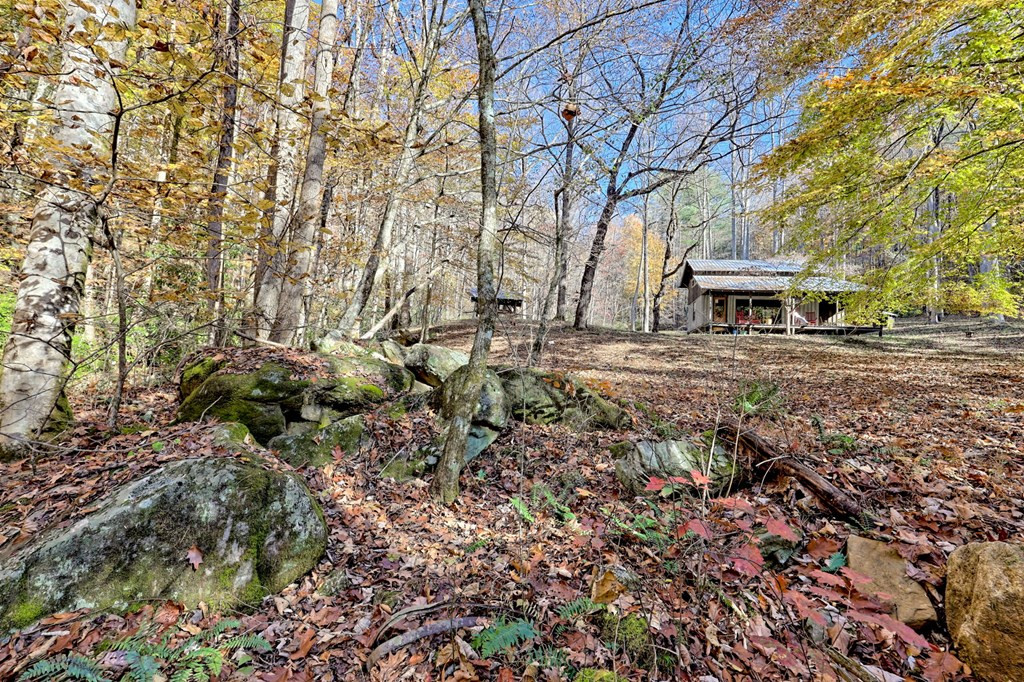 1307 Clear Creek Road Property Photo 3