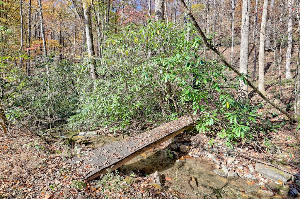 1307 Clear Creek Road Property Photo 5