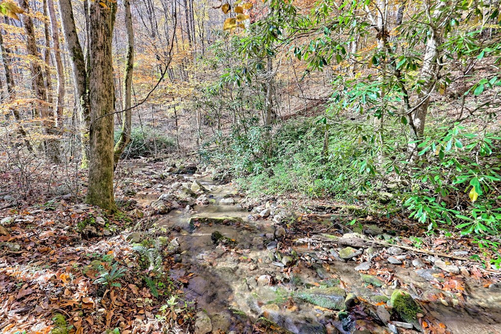 1307 Clear Creek Road Property Photo 6