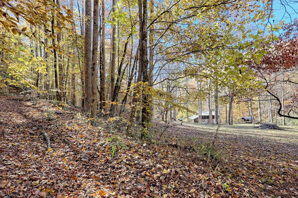 1307 Clear Creek Road Property Photo 7