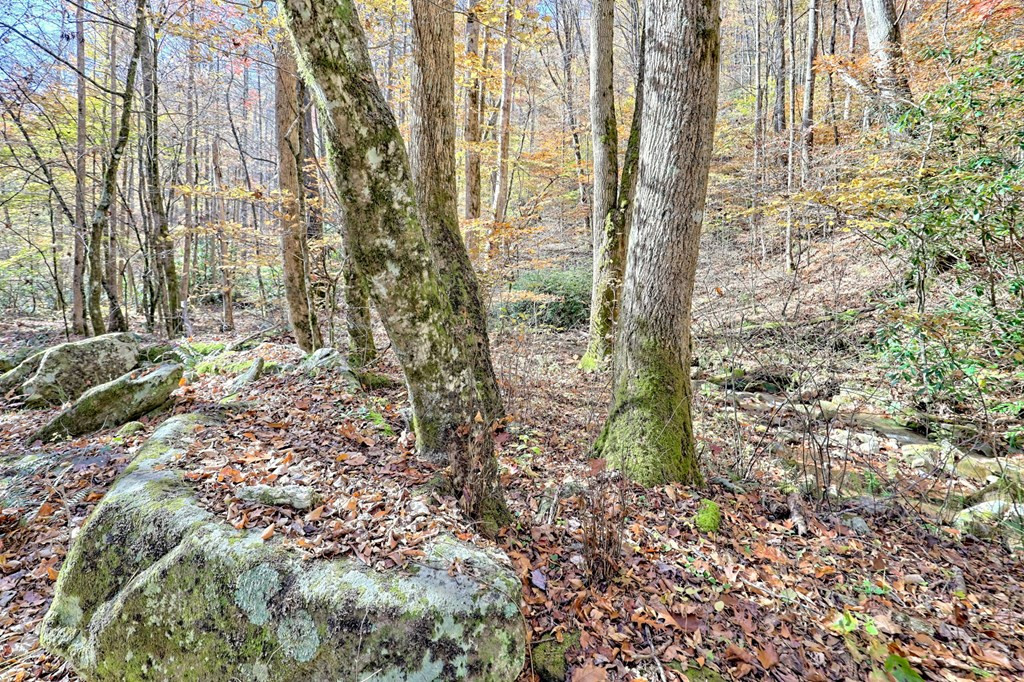1307 Clear Creek Road Property Photo 8