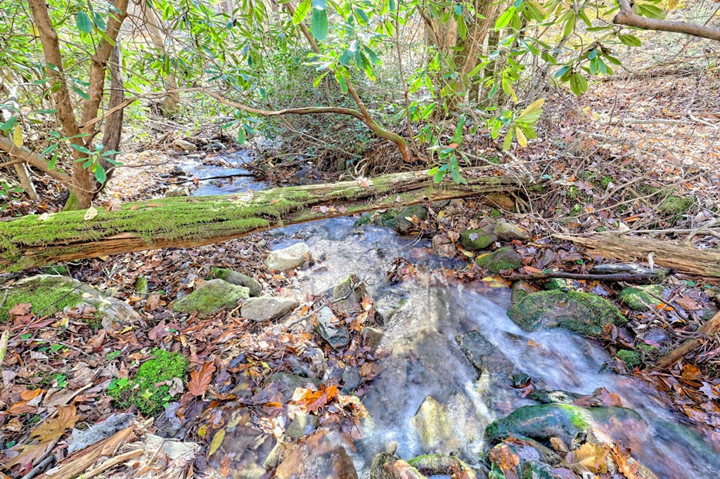1307 Clear Creek Road Property Photo 40
