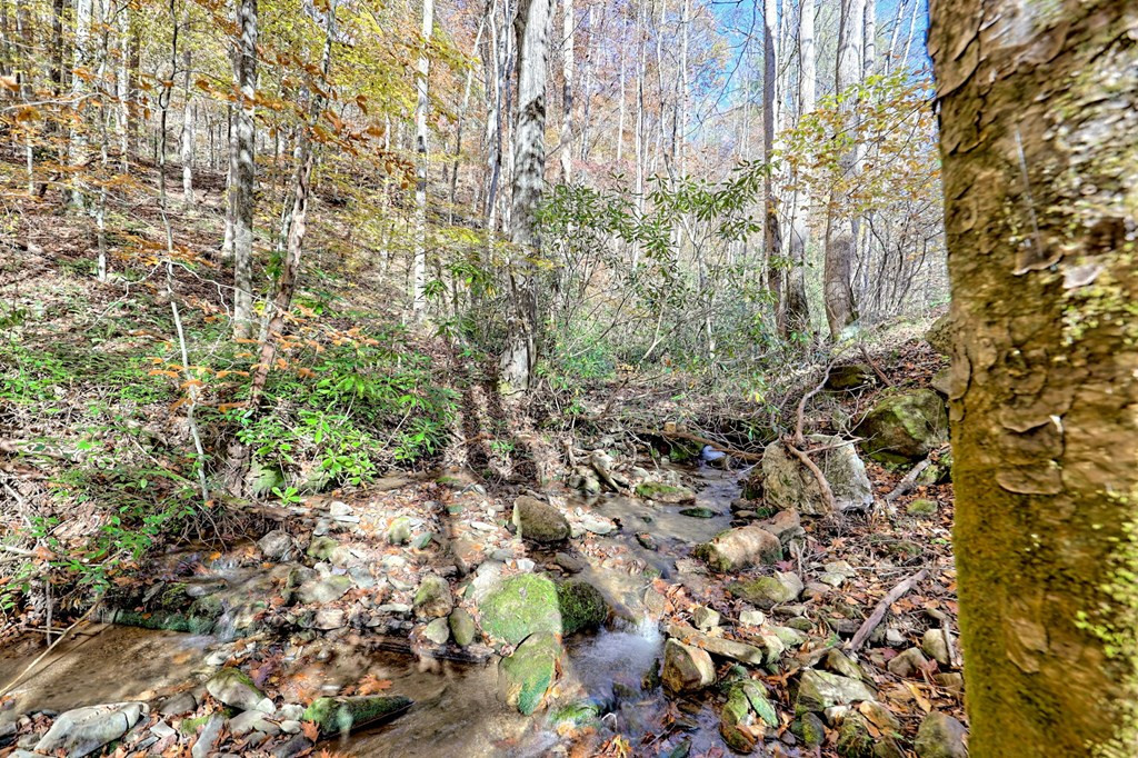 1307 Clear Creek Road Property Photo 41