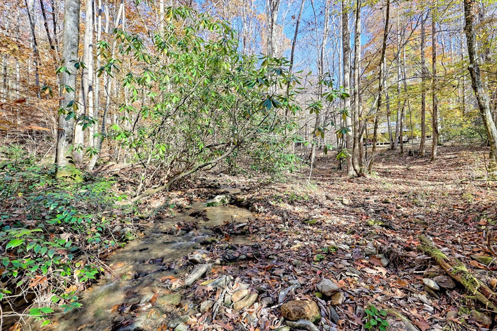 1307 Clear Creek Road Property Photo 42
