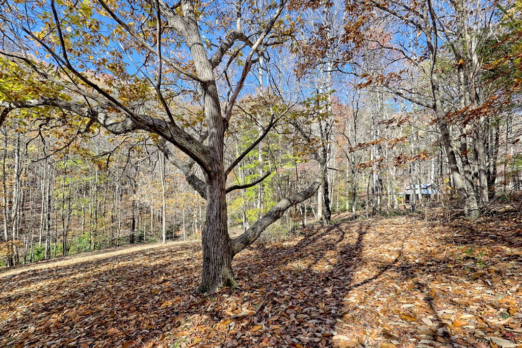 1307 Clear Creek Road Property Photo 43