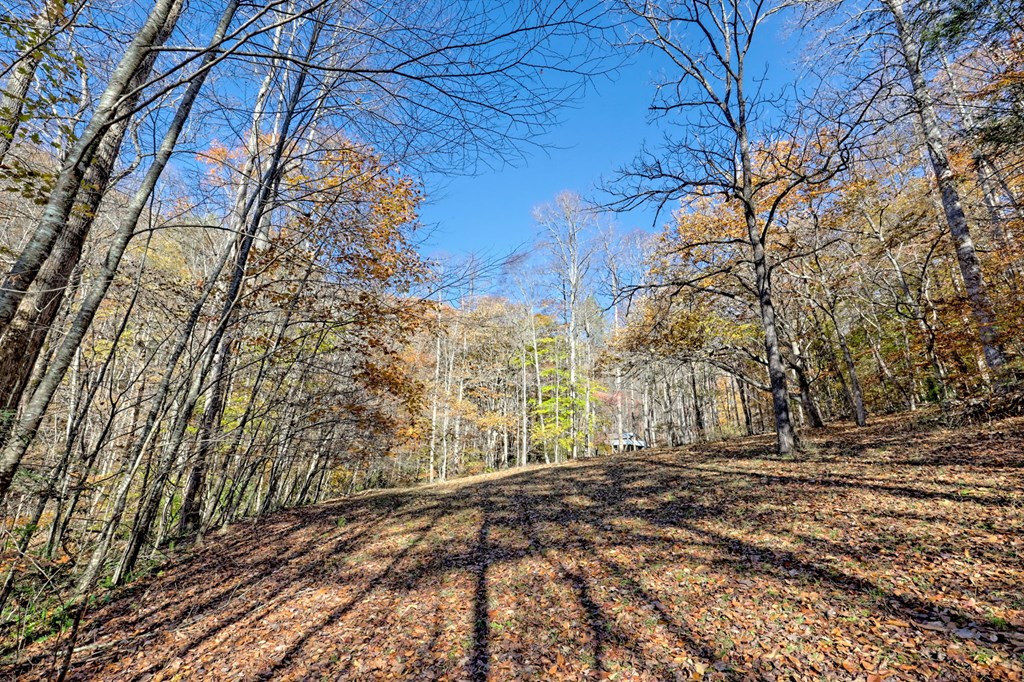 1307 Clear Creek Road Property Photo 44