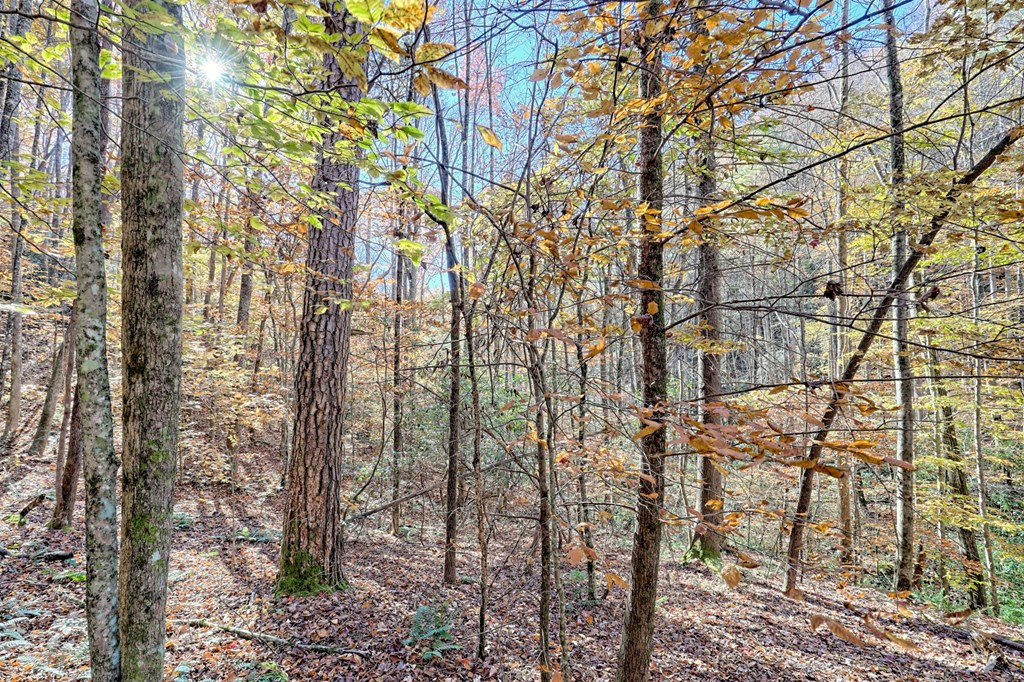 1307 Clear Creek Road Property Photo 45