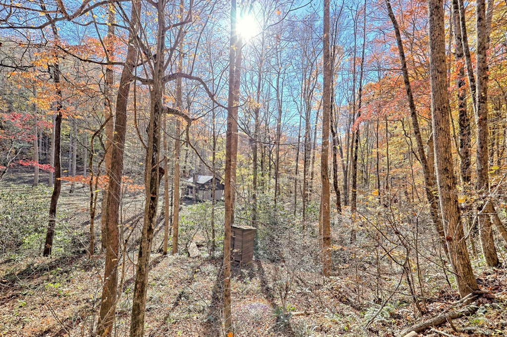 1307 Clear Creek Road Property Photo 46