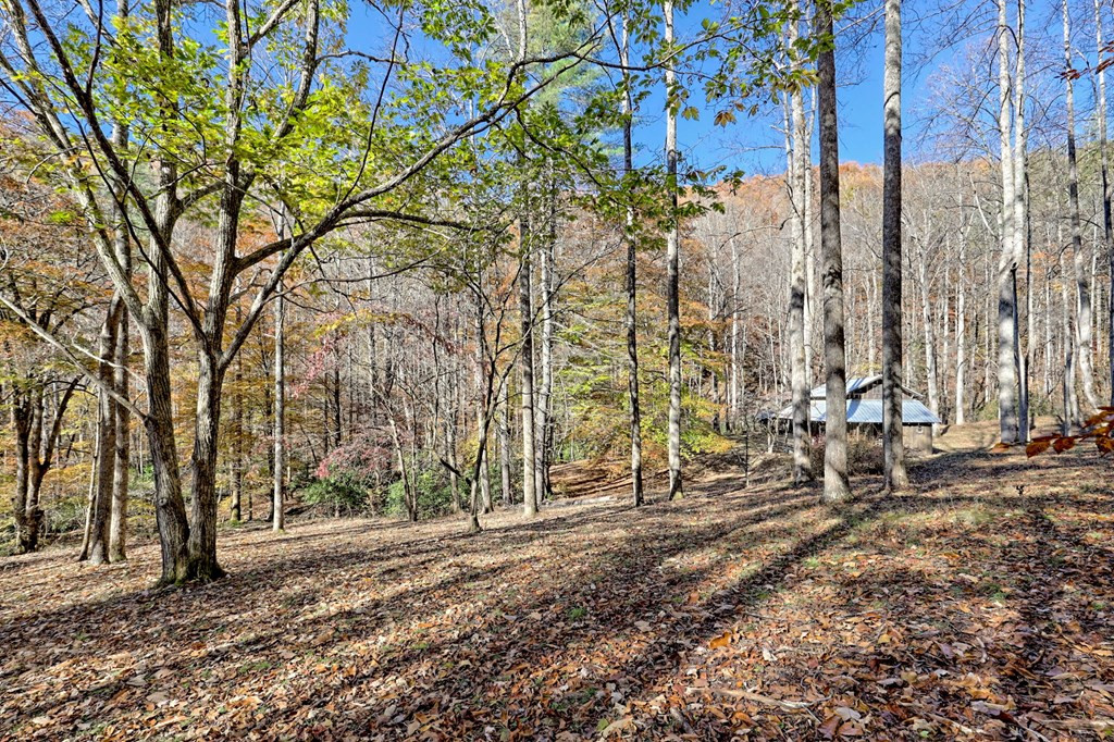 1307 Clear Creek Road Property Photo 48