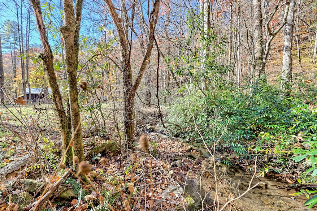 1307 Clear Creek Road Property Photo 53