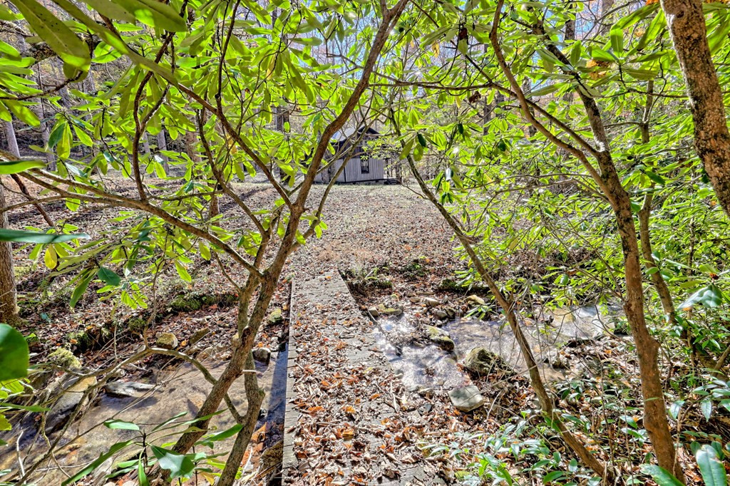 1307 Clear Creek Road Property Photo 54