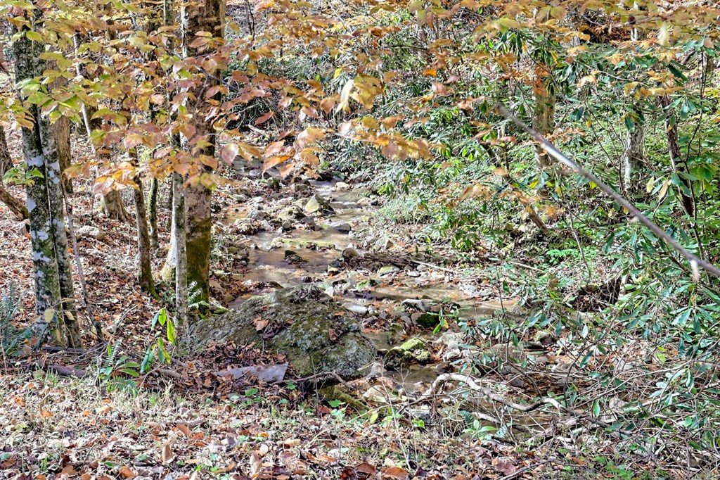 1307 Clear Creek Road Property Photo 55