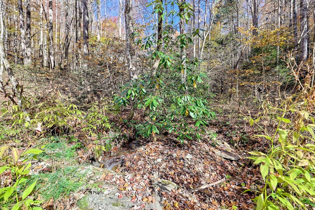 1307 Clear Creek Road Property Photo 56