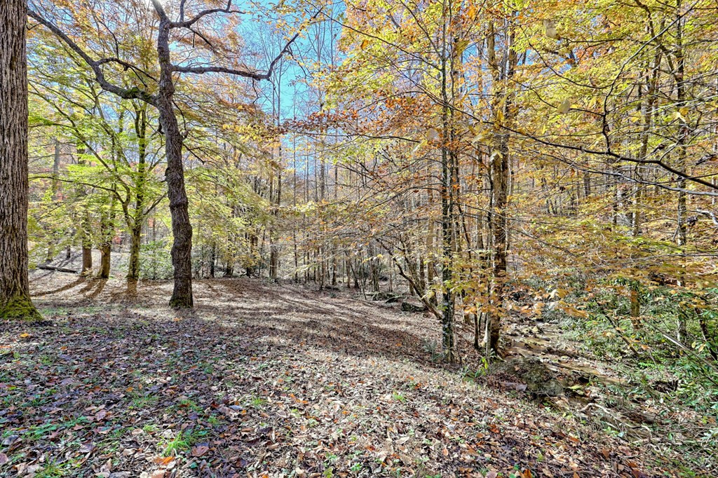 1307 Clear Creek Road Property Photo 58
