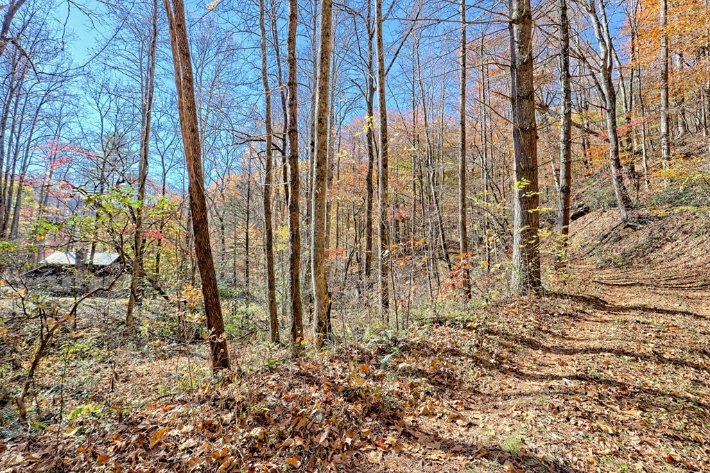 1307 Clear Creek Road Property Photo 59