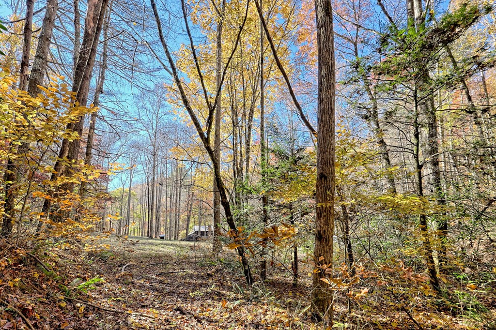 1307 Clear Creek Road Property Photo 60
