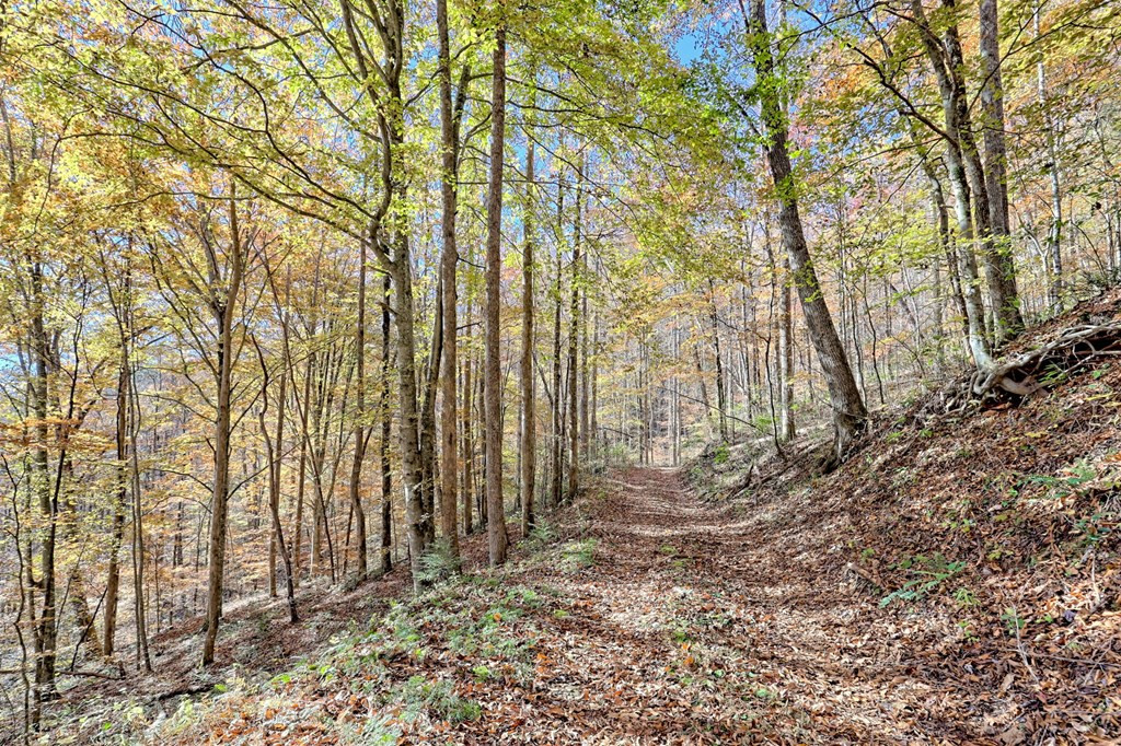 1307 Clear Creek Road Property Photo 61