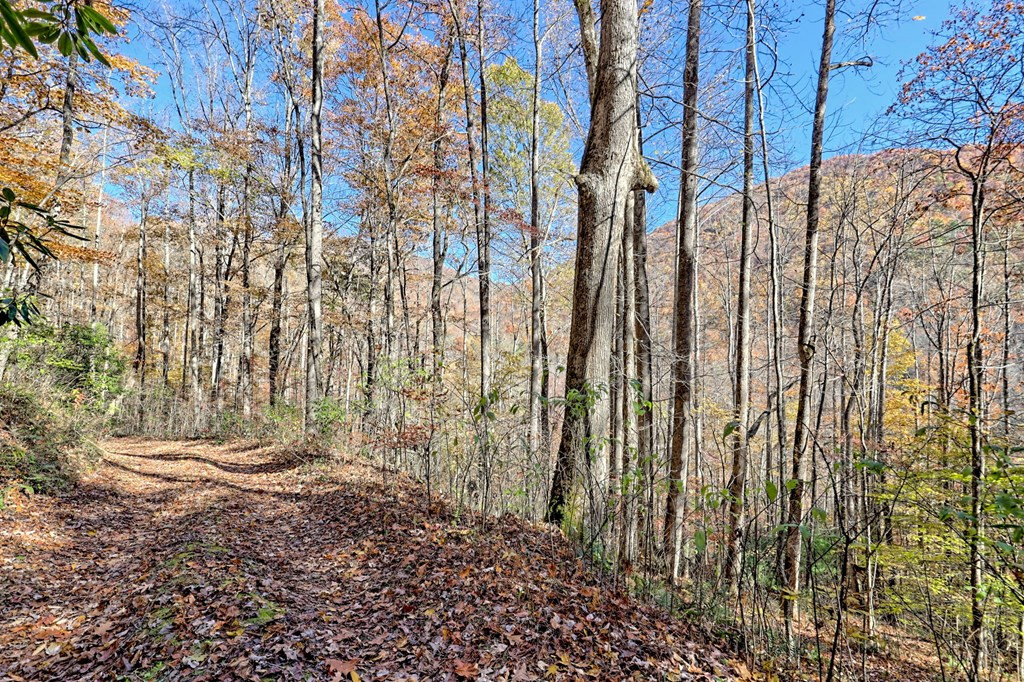 1307 Clear Creek Road Property Photo 62