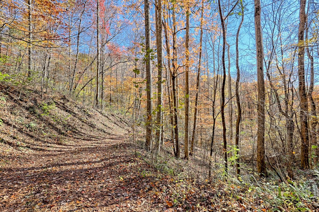 1307 Clear Creek Road Property Photo 63