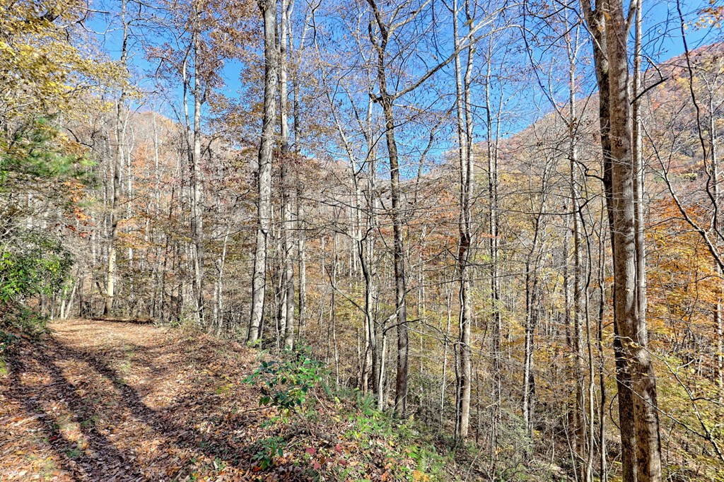 1307 Clear Creek Road Property Photo 64