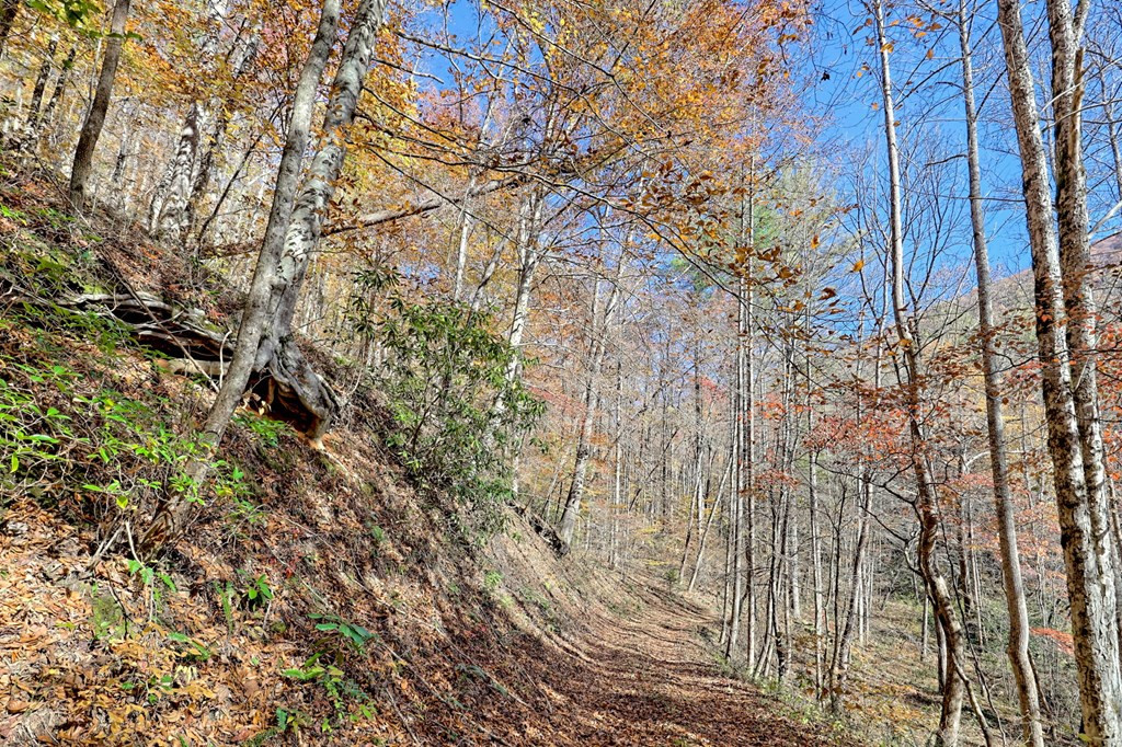 1307 Clear Creek Road Property Photo 65