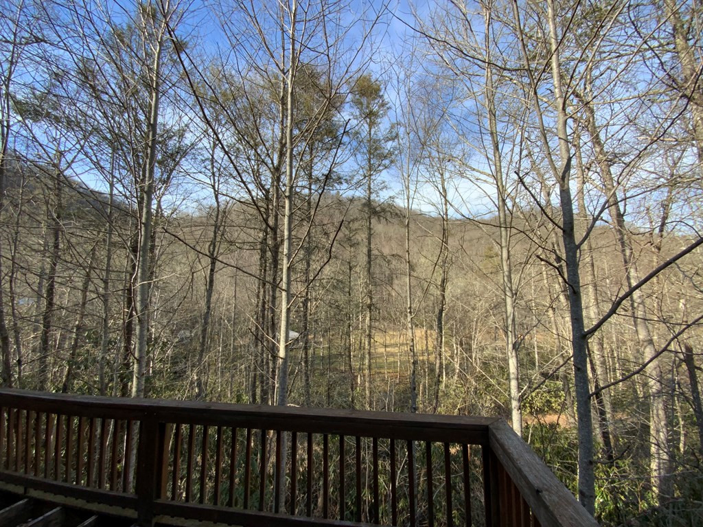 60 Porterfield Gap Road Property Photo 25