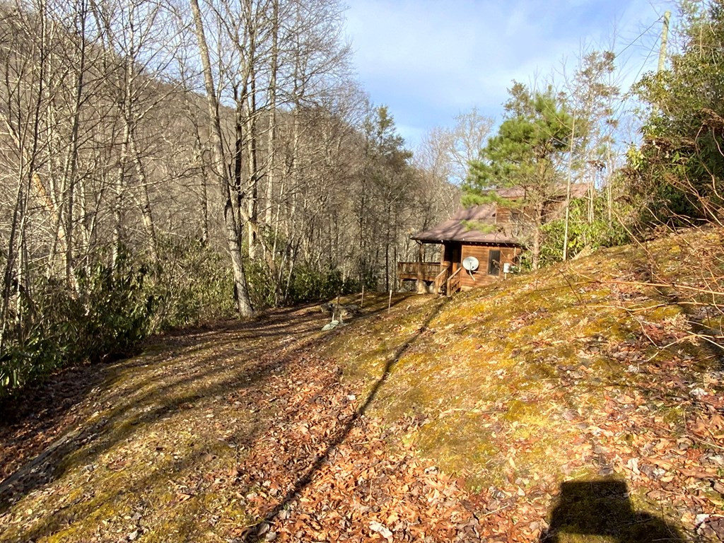 60 Porterfield Gap Road Property Photo 29