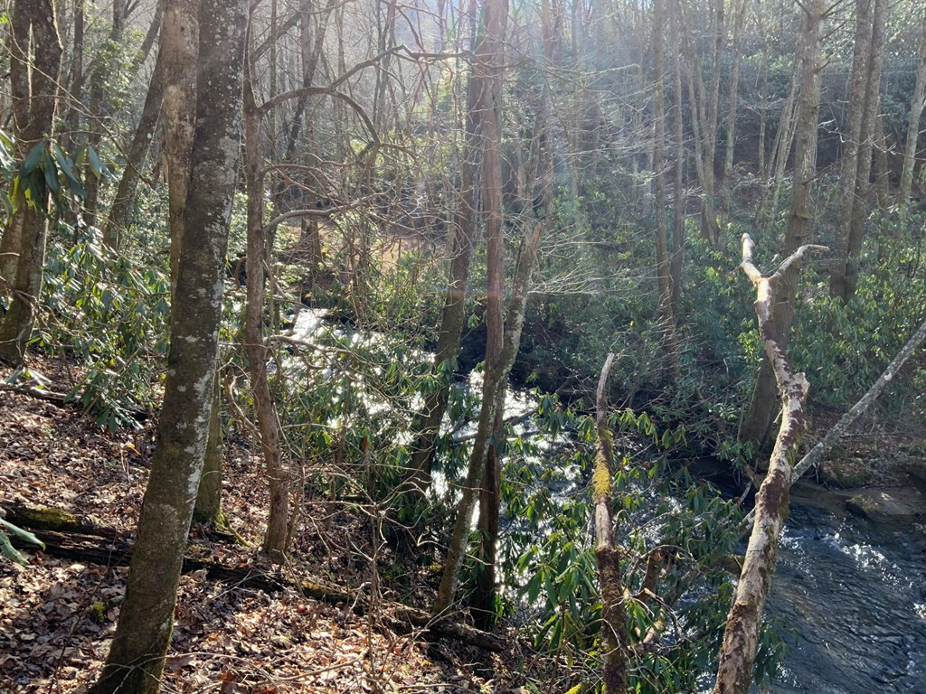 60 Porterfield Gap Road Property Photo 33