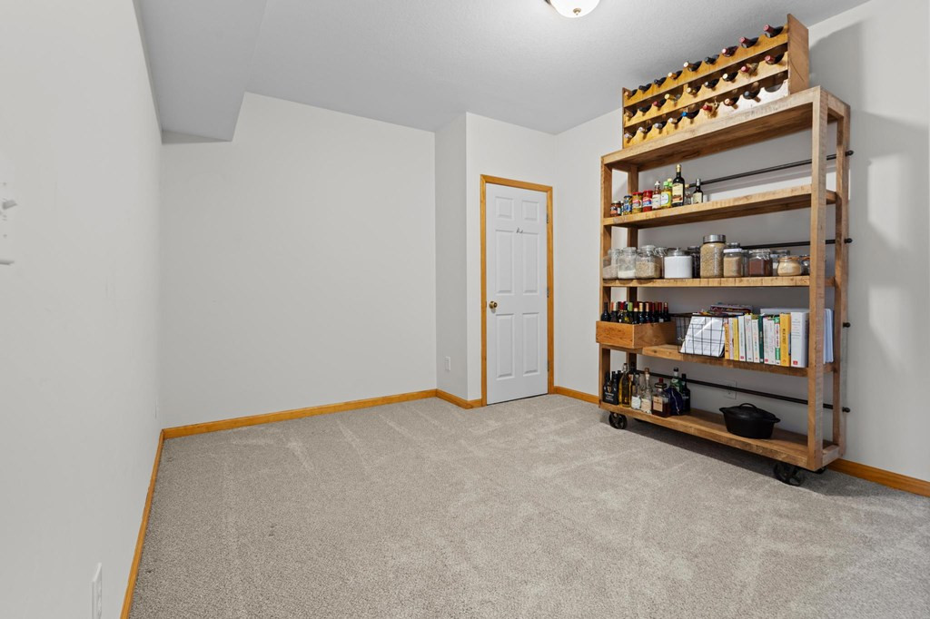 161 Boulder Mountain Drive Property Photo 43