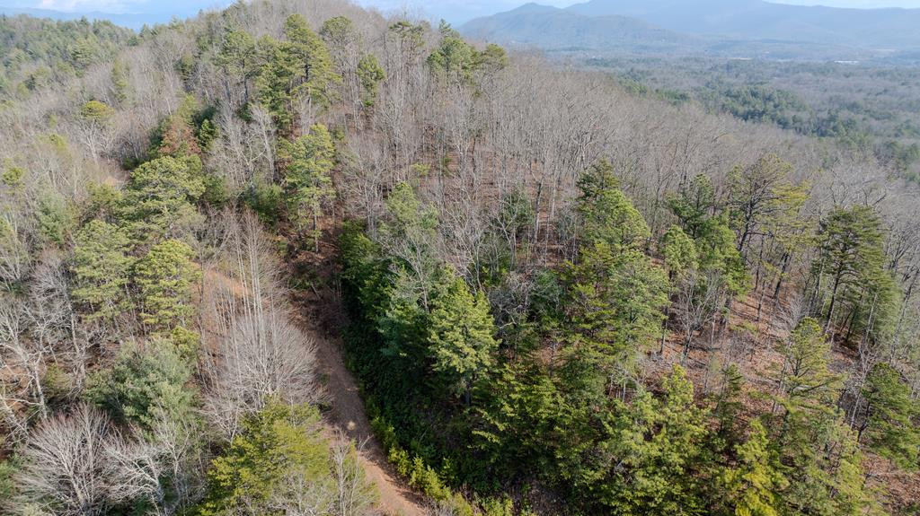 1.03 Deep Forest Road Property Photo 1