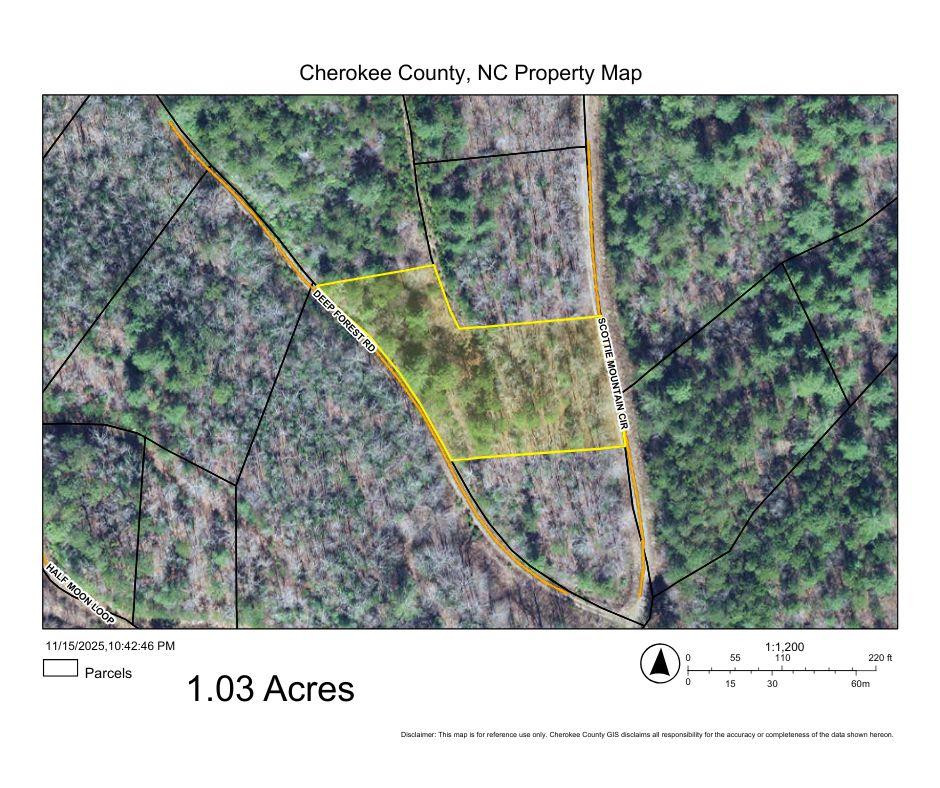 1.03 Deep Forest Road Property Photo 7