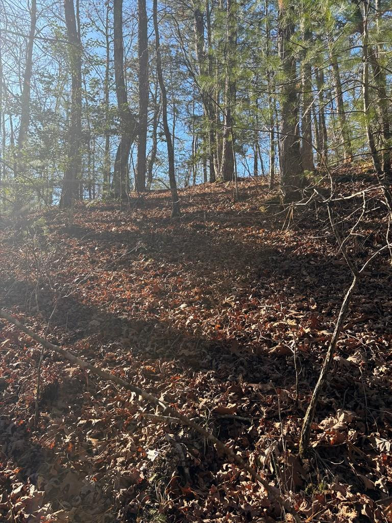 1.03 Deep Forest Road Property Photo 20