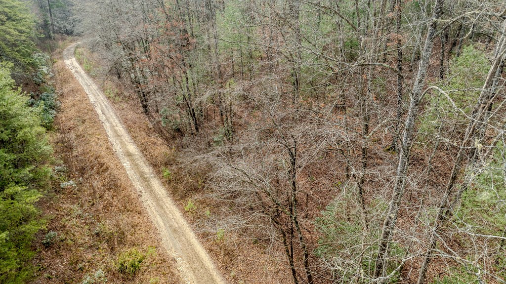 1.03 Deep Forest Road Property Photo 24