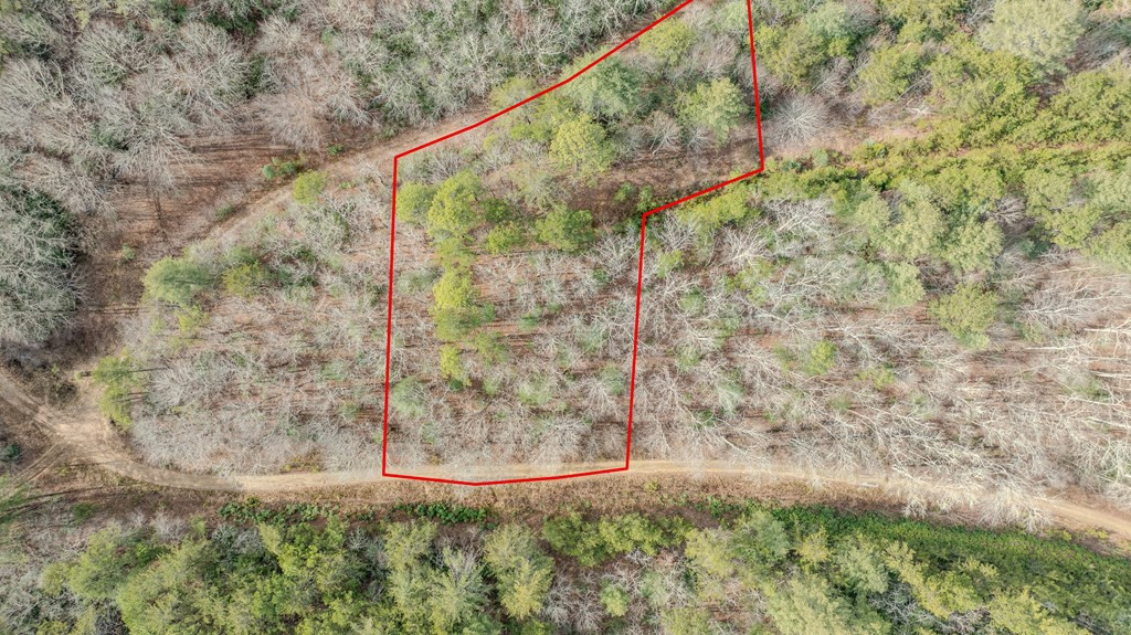 1.03 Deep Forest Road Property Photo 25