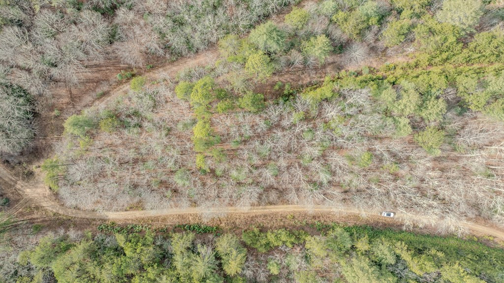 1.03 Deep Forest Road Property Photo 26