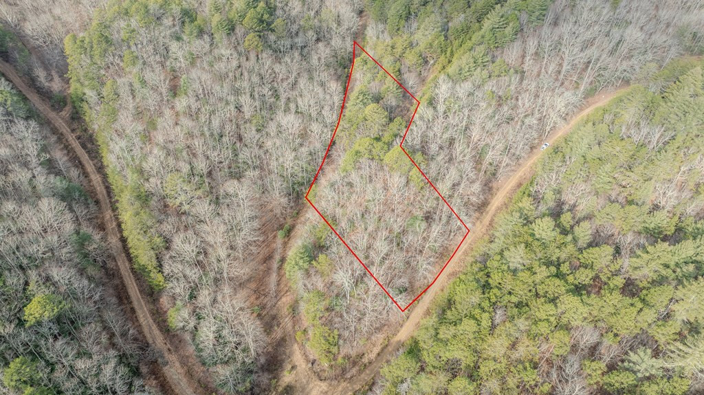 1.03 Deep Forest Road Property Photo 27