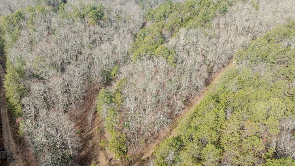 1.03 Deep Forest Road Property Photo 28