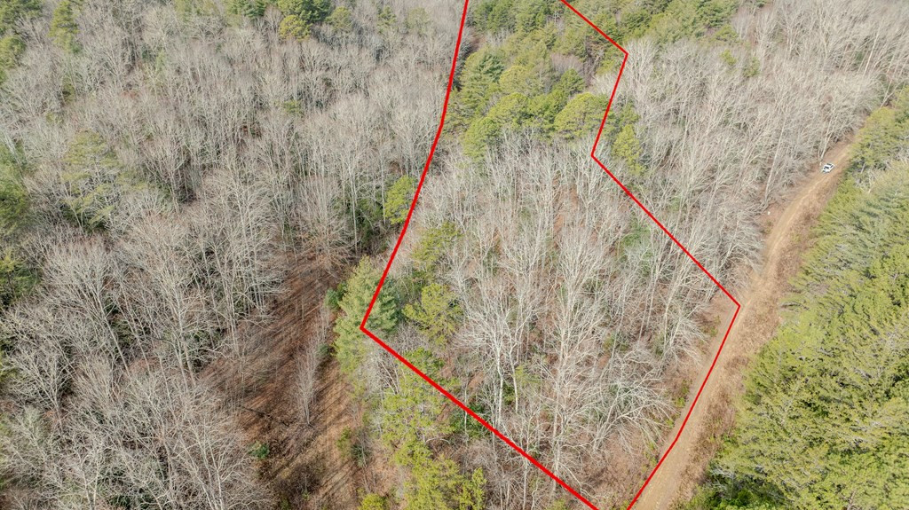 1.03 Deep Forest Road Property Photo 29