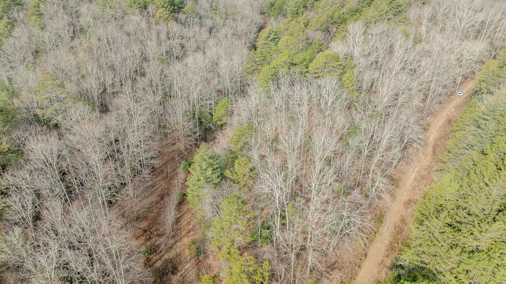 1.03 Deep Forest Road Property Photo 30